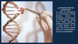 ¿ES POSIBLE MODIFICAR
NUESTRO ADN?
Un equipo de investigadores
de la Universidad de Harvard
(Estados Unidos) ha
desarrollado una nueva técnica
de edición genética llamada
'prime editing' [edición de
calidad] que permite modificar
el código genético de una
célula para eliminar posibles
fallos en su funcionamiento y,
de paso, las enfermedades.
 