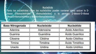 Nucleótido
Tanto los nucleótidos como los nucleósidos pueden contener como azúcar la D-
ribosa (ribonucleótidos y ribonucleósidos) o la pentosa 2-desoxi-D-ribosa
(desoxirribonucleótidos y desoxirribonucleósidos).
 