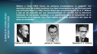 EL
MODELO
DE
LA
DOBLE
HÉLICE:
WATSON
Y
CRICK
(1953)
Watson y Crick (1953) fueron los primeros investigadores en proponer una
estructura para los ácidos nucleicos y su labor investigadora se vio recompensada
con el Premio Nobel en 1962, Premio Nobel que compartieron con M. H. F. Wilkins
y que se les concedió por sus descubrimientos en relación con la estructura
molecular de los ácidos nucleícos y su significación para la transmisión de la
información en la materia viva.. Para realizar su trabajo emplearon dos tipos de
datos ya existentes.
 