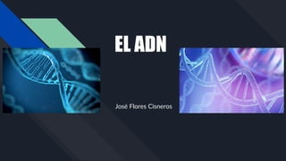 EL ADN
José Flores Cisneros
 
