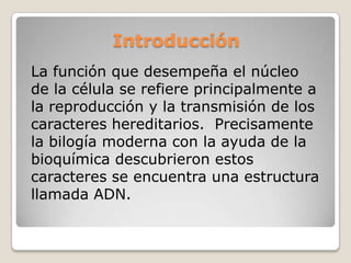 IntroducciónLa función que desempeña el núcleo de la célula se refiere principalmente a la reproducción y la transmisión de los caracteres hereditarios.  Precisamente la bilogía moderna con la ayuda de la bioquímica descubrieron estos caracteres se encuentra una estructura llamada ADN.