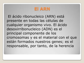 El ARN El ácido ribonucleico (ARN) está presente en todas las células de cualquier organismo vivo. El ácido desoxirribonucleico (ADN) es el principal componente de los cromosomas y es el material con el que están formados nuestros genes; es el responsable, por tanto, de la herencia