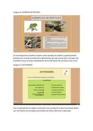 Imagen 16: EJEMPLOS DE REPTILES.
En esta diapositiva el profesor expone varios ejemplos de reptiles y posteriormente
presenta una serie de características diferenciales de cada uno de ellos. Con todo ello
el profesor busca la mejor interpretación de la información de una forma más visual.
Imagen 17: ACTIVIDADES.
Tras el apartado de los reptiles se presenta una actividad en la que los alumnos deben
unir con flechas los conceptos presentados de forma coherente y adecuada.
 