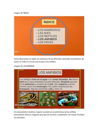 Imagen 18: ÍNDICE
Como observamos en todos los comienzos de los diferentes apartados encontramos de
nuevo un índice y en este caso es para a los anfibios.
Imagen 19: LOS ANFIBIOS
En esta pantalla el profesor expone las diversas características de los anfibios
presentando diversas imágenes para que los alumnos comprendan con mayor facilidad
los conceptos.
 