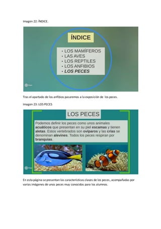 Imagen 22: ÍNDICE.
Tras el apartado de los anfibios pasaremos a la exposición de los peces.
Imagen 23: LOS PECES
En esta página se presentan las características claves de los peces, acompañadas por
varias imágenes de unos peces muy conocidos para los alumnos.
 