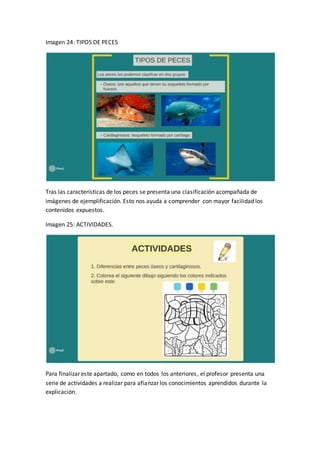 Imagen 24: TIPOS DE PECES
Tras las características de los peces se presenta una clasificación acompañada de
imágenes de ejemplificación. Esto nos ayuda a comprender con mayor facilidad los
contenidos expuestos.
Imagen 25: ACTIVIDADES.
Para finalizar este apartado, como en todos los anteriores, el profesor presenta una
serie de actividades a realizar para afianzar los conocimientos aprendidos durante la
explicación.
 
