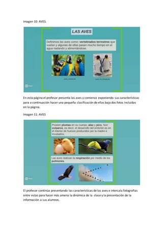 Imagen 10: AVES.
En esta página el profesor presenta las aves y comienza exponiendo sus características
para a continuación hacer una pequeña clasificación de ellas bajo dos fotos incluidas
en la página.
Imagen 11: AVES
El profesor continúa presentando las características de las aves e intercala fotografías
entre estas para hacer más amena la dinámica de la clase y la presentación de la
información a sus alumnos.
 