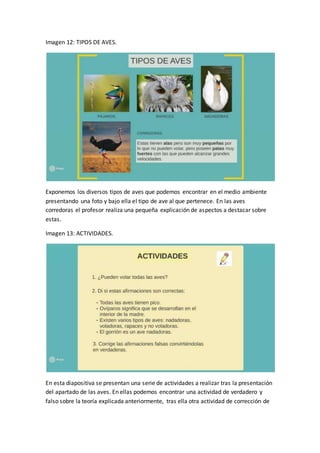 Imagen 12: TIPOS DE AVES.
Exponemos los diversos tipos de aves que podemos encontrar en el medio ambiente
presentando una foto y bajo ella el tipo de ave al que pertenece. En las aves
corredoras el profesor realiza una pequeña explicación de aspectos a destacar sobre
estas.
Imagen 13: ACTIVIDADES.
En esta diapositiva se presentan una serie de actividades a realizar tras la presentación
del apartado de las aves. En ellas podemos encontrar una actividad de verdadero y
falso sobre la teoría explicada anteriormente, tras ella otra actividad de corrección de
 
