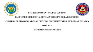 UNIVERSIDAD CENTRAL DEL ECUADOR
FACULTAD DE FILOSOFÍA, LETRAS Y CIENCIAS DE LA EDUCACIÓN
CARRERA DE PEDAGOGIA DE LAS CIENCIAS EXPERIMENTALES, BIOLOGÍAY QUÍMICA
BOTÁNICA
NOMBRE: CARLOS CASTILLO
 