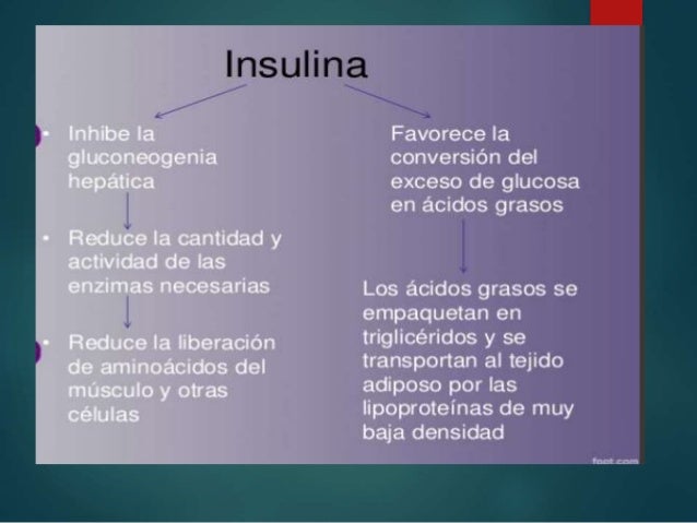 Estructura de la insulina Estructura de la insulina