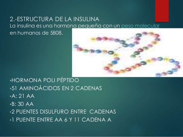 Estructura de la insulina Estructura de la insulina