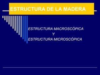 ESTRUCTURA DE LA MADERA ESTRUCTURA MACROSCÓPICA Y ESTRUCTURA MICROSCÓPICA 