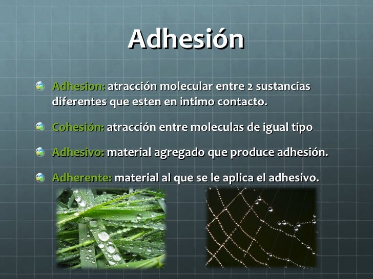 Estructura de la materia