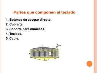 1. Botones de acceso directo.
2. Cubierta.
3. Soporte para muñecas.
4. Teclado.
5. Cable.
 