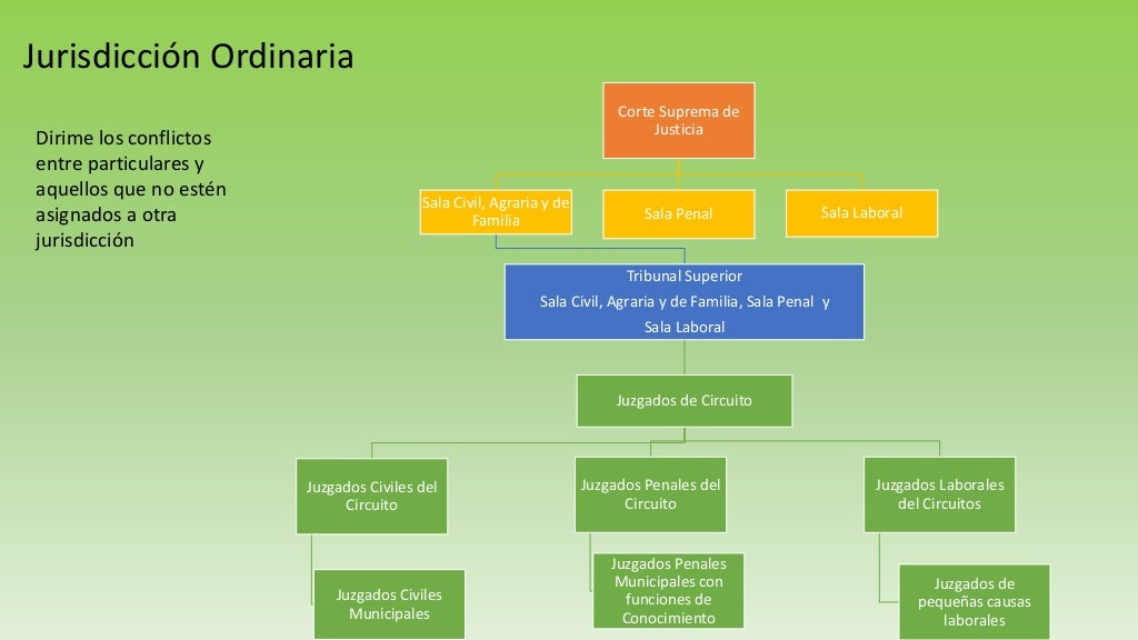 Estructura de la rama judicial.