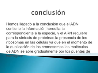 Hemos llegado a la conclusión que el ADN
contiene la información hereditaria
correspondiente a la especie, y el ARN requiere
para la síntesis de proteínas la presencia de los
ribosomas en las células ya que en el momento de
la duplicación de los cromosomas las moléculas
de ADN se abre gradualmente por los puentes de
hidrogeno.
 
