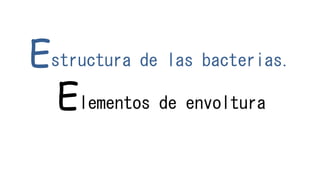 Estructura de las bacterias.
Elementos de envoltura
 