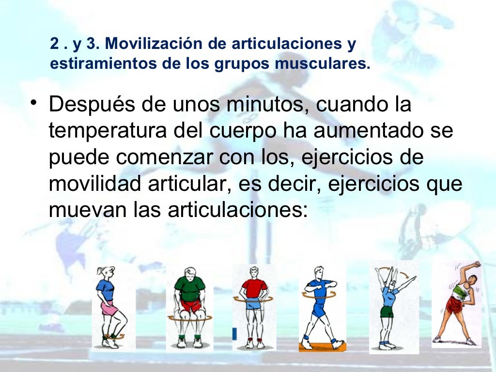 Estructura de la sesión de entrenamiento