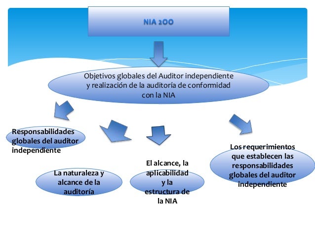 Estructura de las nia 200 299