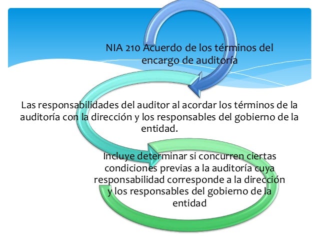 Estructura de las nia 200 299