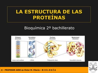 LA ESTRUCTURA DE LAS PROTEÍNAS Bioquímica 2º bachillerato 