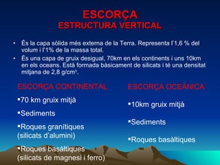 ESCORÇA ESTRUCTURA VERTICAL <ul><li>És la capa sòlida més externa de la Terra. Representa l’1,6 % del volum i l’1% de la m...