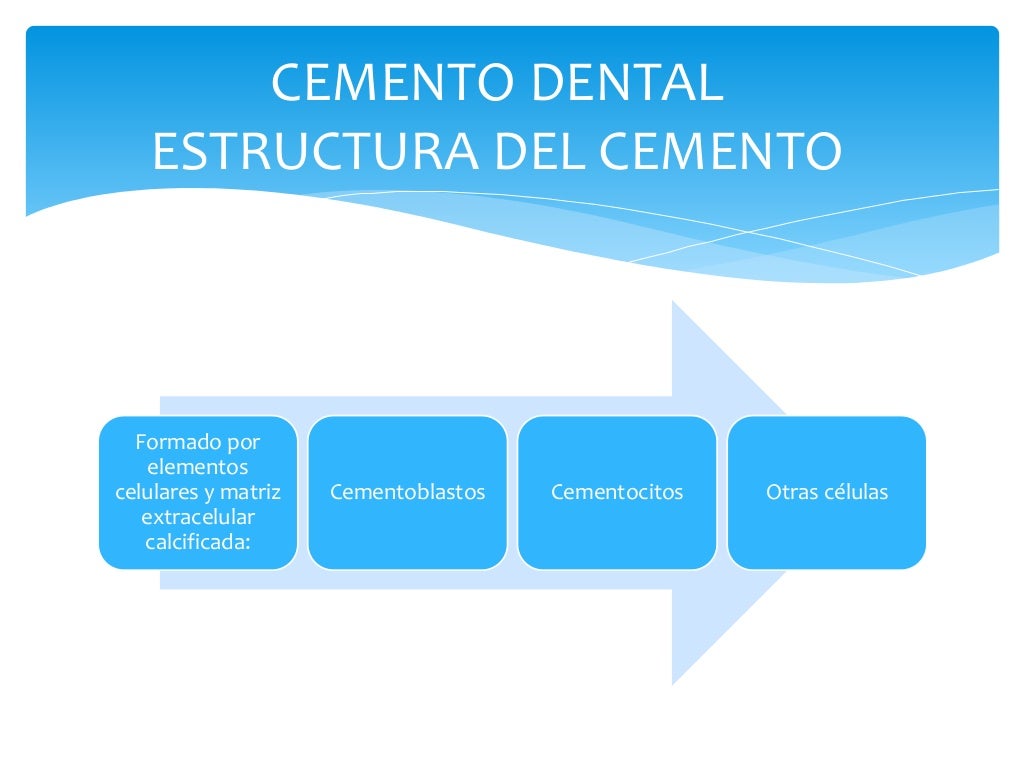 Estructura Cemento dental