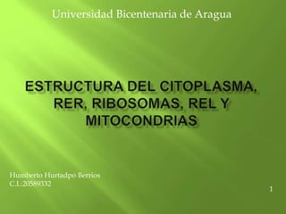 Universidad Bicentenaria de Aragua
1
Humberto Hurtadpo Berrios
C.I.:20589332
 