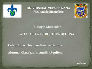 Biología Molecular

        ATLAS DE LA ESTRUCTURA DEL DNA


Catedrático: Dra. Carolina Barrientos

Alumna: Clara Yadira Aguilar Aguilera


                                         05/09/12
 