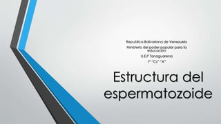 Estructura del
espermatozoide
Republica Bolivariana de Venezuela
Ministerio del poder popular para la
educación
U.E.P Tanaguarena
1° “Cs” “A”
 