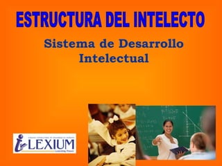 Sistema de Desarrollo Intelectual ESTRUCTURA DEL INTELECTO 
