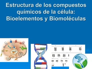 Estructura de los compuestos
químicos de la célula:
Bioelementos y Biomoléculas
1
 