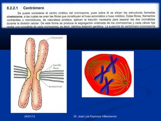 24/01/13   Dr. José Luis Espinoza Villavicencio
 
