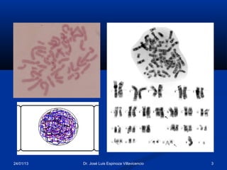 24/01/13   Dr. José Luis Espinoza Villavicencio   3
 