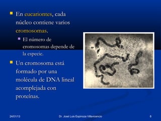    En eucariontes, cada
    núcleo contiene varios
    cromosomas.
          El número de
           cromosomas depende de
           la especie.
   Un cromosoma está
    formado por una
    molécula de DNA lineal
    acomplejada con
    proteínas.


24/01/13                 Dr. José Luis Espinoza Villavicencio   8
 