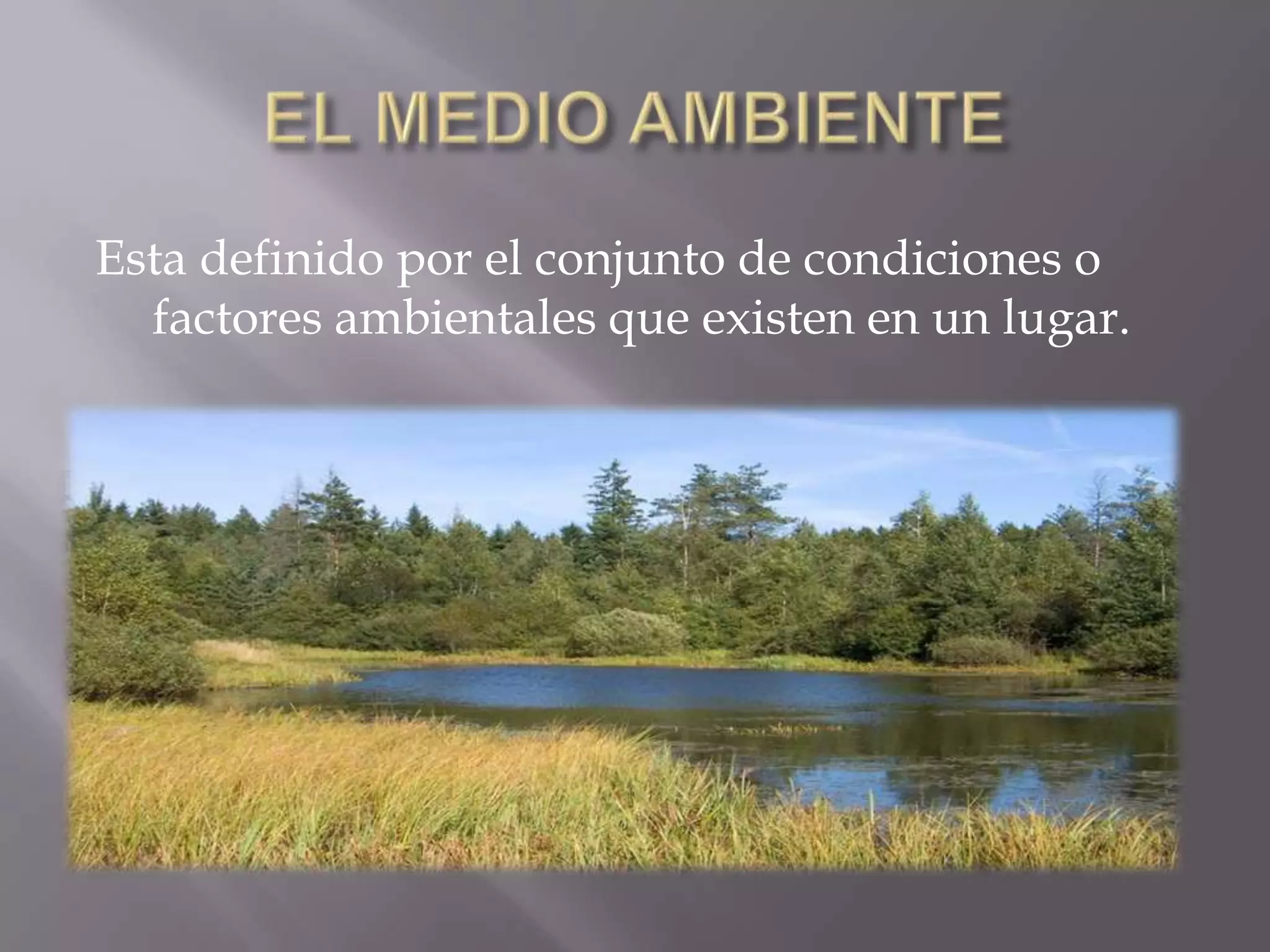Estructura De Los Ecosistemas PPTX estructura-de-los-ecosistemas-pptx