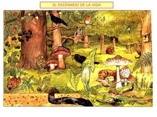 EL ESCENARIO DE LA VIDA
 