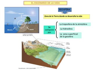 EL ESCENARIO DE LA VIDA


                           BIOSFERA


          Zona de la Tierra donde se desarrolla la vida


                           La troposfera de la atmósfera
              Se
           compone          La hidrosfera
             por
                            La zona superficial
                            de la geosfera
 