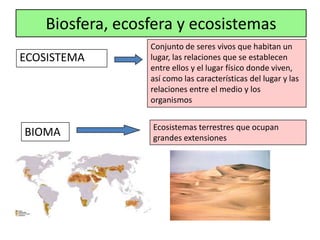 Biosfera, ecosfera y ecosistemas
                  Conjunto de seres vivos que habitan un
ECOSISTEMA        lugar, las relaciones que se establecen
                  entre ellos y el lugar físico donde viven,
                  así como las características del lugar y las
                  relaciones entre el medio y los
                  organismos


                  Ecosistemas terrestres que ocupan
BIOMA             grandes extensiones
 
