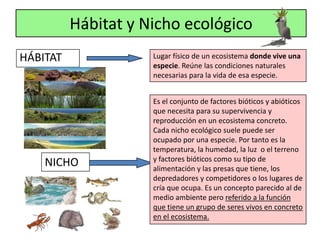 Hábitat y Nicho ecológico
HÁBITAT              Lugar físico de un ecosistema donde vive una
                     especie. Reúne las condiciones naturales
                     necesarias para la vida de esa especie.


                     Es el conjunto de factores bióticos y abióticos
                     que necesita para su supervivencia y
                     reproducción en un ecosistema concreto.
                     Cada nicho ecológico suele puede ser
                     ocupado por una especie. Por tanto es la
                     temperatura, la humedad, la luz o el terreno
                     y factores bióticos como su tipo de
    NICHO            alimentación y las presas que tiene, los
                     depredadores y competidores o los lugares de
                     cría que ocupa. Es un concepto parecido al de
                     medio ambiente pero referido a la función
                     que tiene un grupo de seres vivos en concreto
                     en el ecosistema.
 