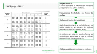 LO MEJOR PARA usted
E M P R E S A D E C O M P U E S T O S
O R G Á N I C O S
Códigogenético
6
Un gen codifica:
Cuando contiene la información necesaria
para generar una ARN o proteína.
Instrucciones trasladadas en forma de
código
64 codones en total: 61 pueden formar 20
aminoácidos esenciales y tres se utilizan
como codones de determinación.
Codones: tripletes de nucleótidos
Dada la existencia de 4 nucleótidos en los
ácidos nucleicos, el número de tripletes
posibles, es decir de codones, es 64 .
Código genético: conjunto de 64 codones.
 