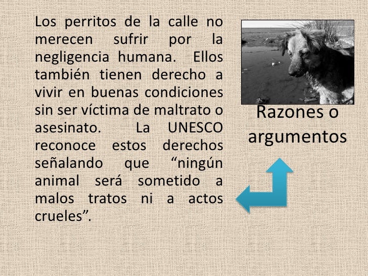 Texto Argumentativo Corto Sobre Los Animales En Peligro De Extincion