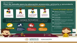 ESTRUCTURA DEL PLAN Y PROGRAMAS 2022.pptx