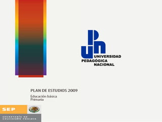 Plan y Programas Primaria 2009