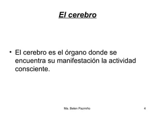 El   cerebro El cerebro es el órgano donde se encuentra su manifestación la actividad consciente. 