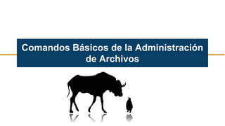 Comandos Básicos de la Administración
de Archivos
 