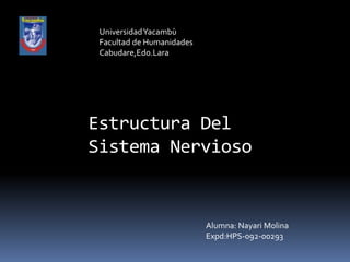 Estructura Del 
Sistema Nervioso 
Alumna: Nayari Molina 
Expd:HPS-092-00293 
Universidad Yacambù 
Facultad de Humanidades 
Cabudare,Edo.Lara 
 