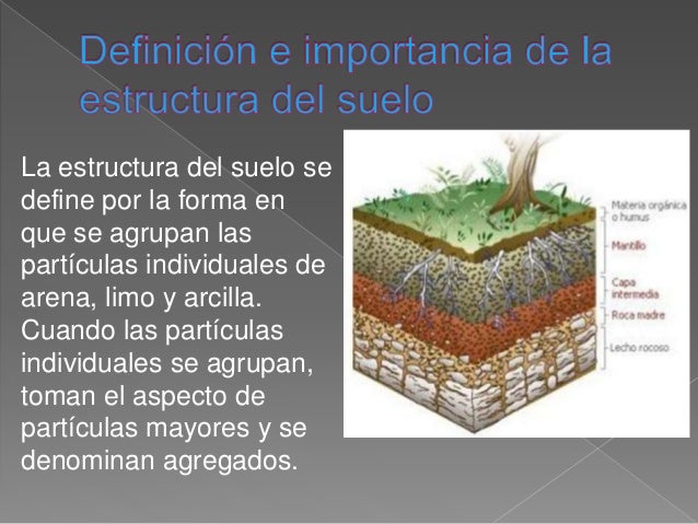 Definición e importancia de la estructura del suelo