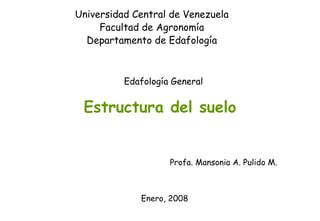 Universidad Central de Venezuela
     Facultad de Agronomía
  Departamento de Edafología



          Edafología General


 Estructura del suelo


                    Profa. Mansonia A. Pulido M.



             Enero, 2008
 