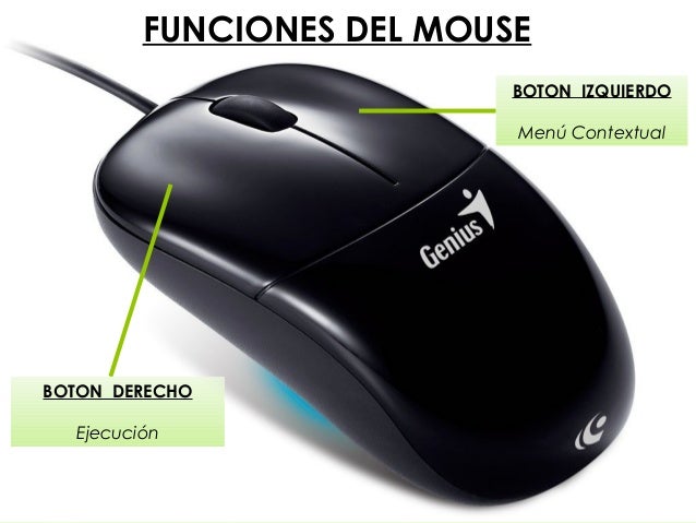 Estructura y Uso del Teclado y Mouse